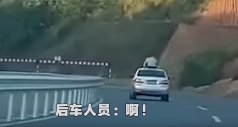 Muere tras sacar la cabeza por el techo de su coche y golpearse con una señal de trafico