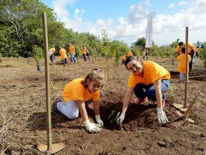 momento de la actividad