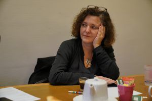 Reunión de trabajo entre los ayuntamientos de Pontevedra y París 2 JBC6067