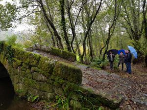 c3368678 2082 408a 984e f8aaf6417ed8