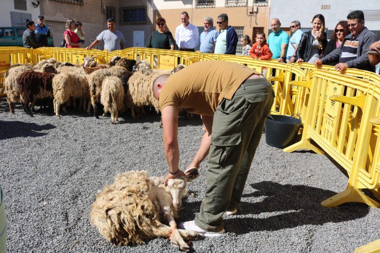 S. L. DE TIRAJANA: La Feria del Sureste pone en valor la cocina canaria hecha con los productos de la tierra