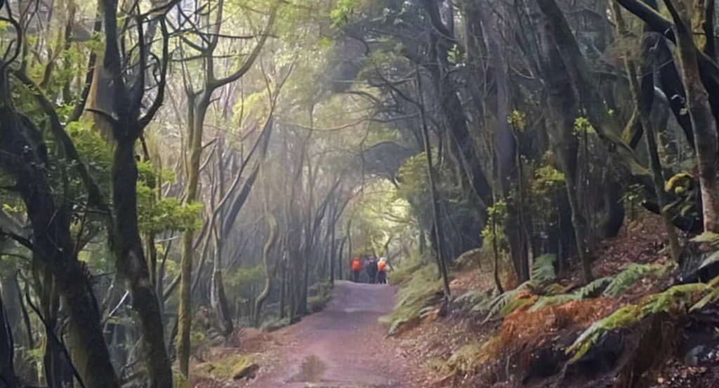 Este es el parque nacional  más bonito de España