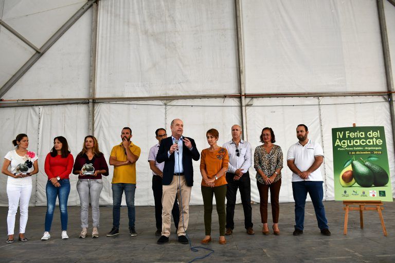 MOGÁN: Pedro Ortega destaca el auge del aguacate en el Archipiélago