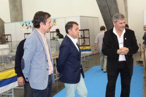 Exposición palomas buchonas