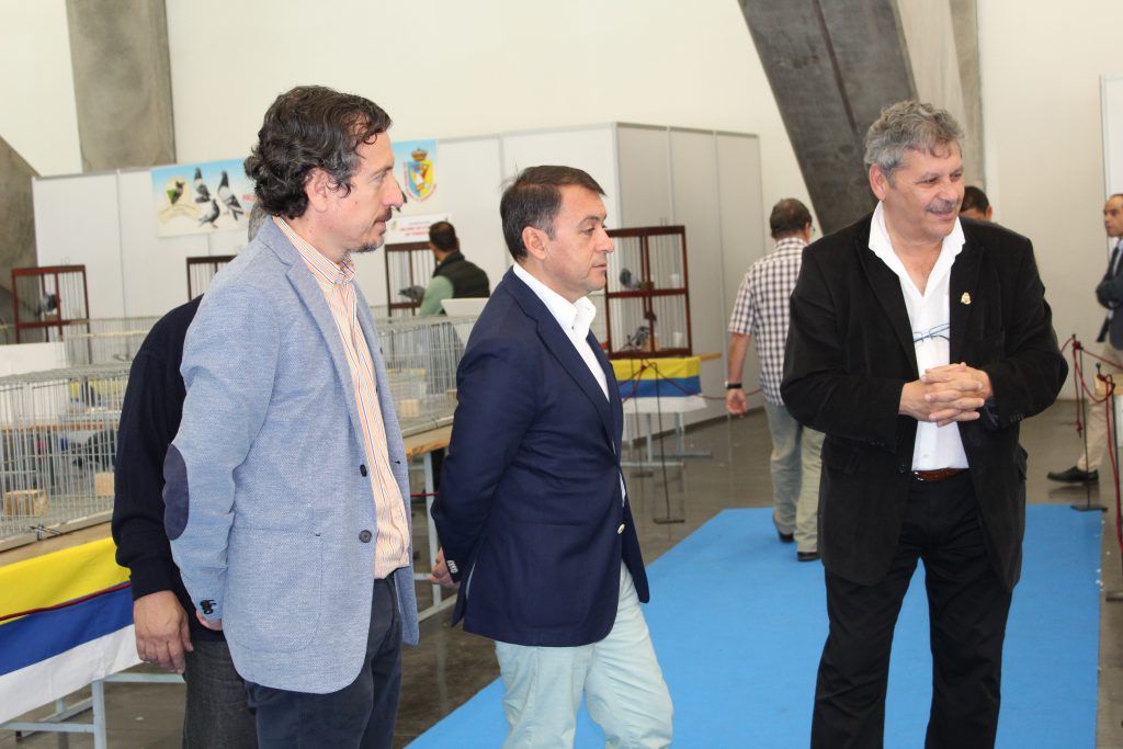 Exposición palomas buchonas