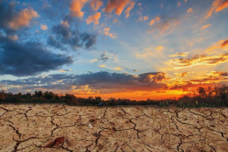 Una subida de 5ºC extinguiría la mayor parte de la vida en la Tierra