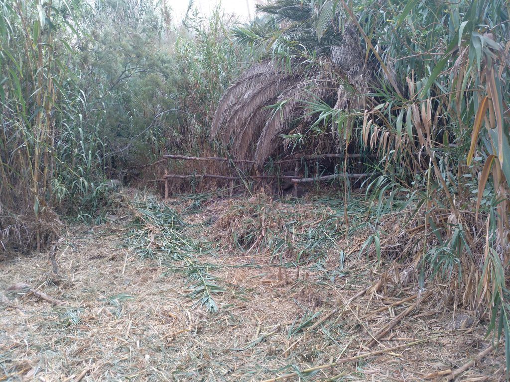 Casa de paja y barro: la pareja que ha logrado un hogar sostenible con temperatura estable todo el año