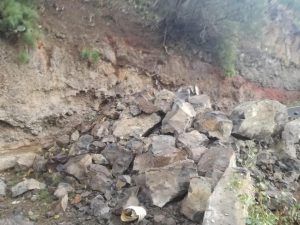 desprendimiento moya1