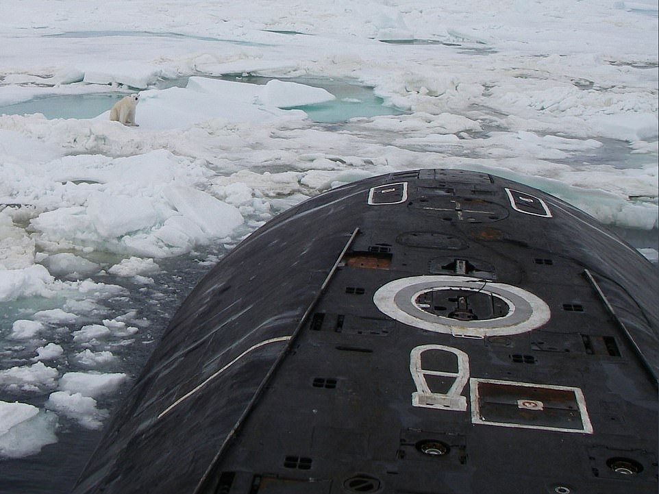 Un oso polar se sube a una submarino nuclear cuando emerge para deshacerse de la basura 1 8460896 0 image a 54 1547376997101