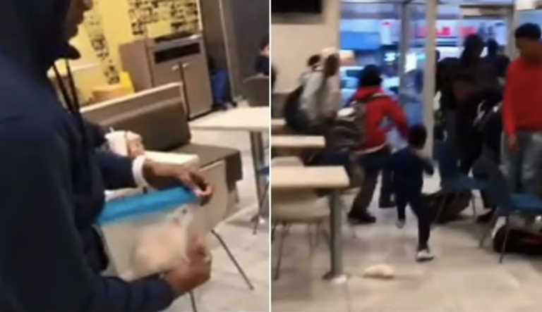 Un hombre suelta una rata en un McDonald's y provoca el caos