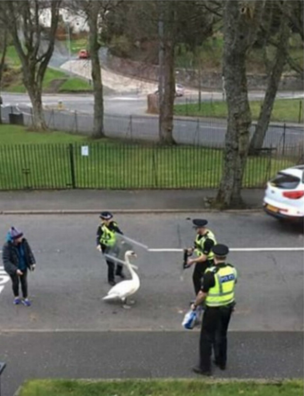 0 Screen Shot 2019 03 27 at 132029