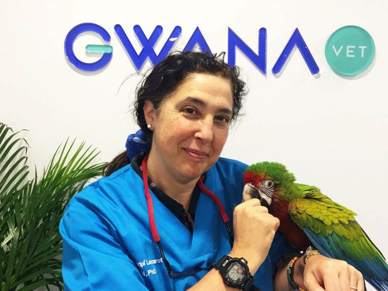 ¿Desde cuándo existen servicios para animales exóticos 24h?