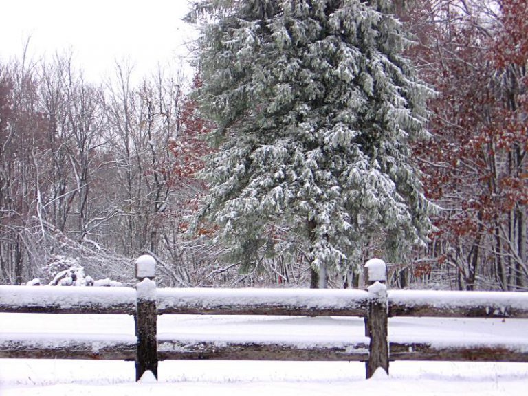 España tiene la mitad de nieve de lo normal al final del invierno