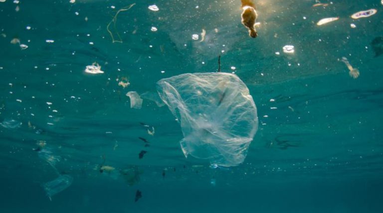 La Eurocámara prohíbe la venta de cubiertos, platos y pajitas de plástico en 2021