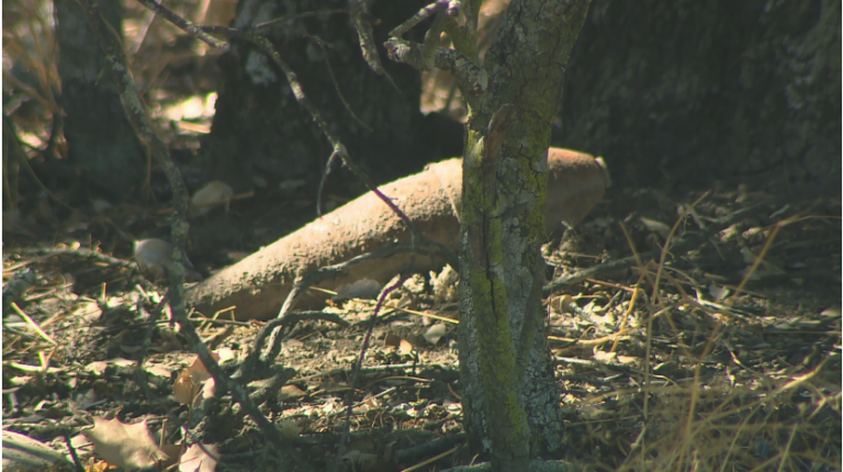 Desactivan un obús de la Guerra Civil encontrado en Madrid