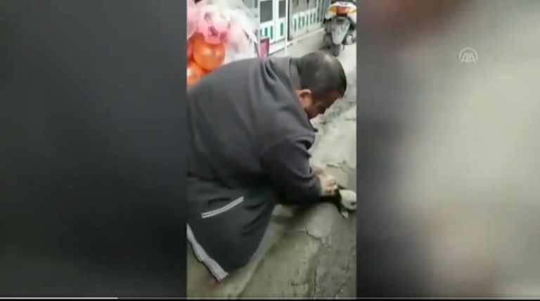 Un hombre realiza el 'boca-hocico' a un perro moribundo que encontró en la calle y logra salvarle la vida
