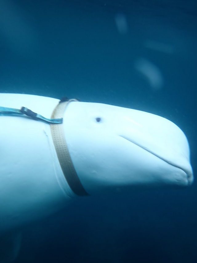 91d13e83 285a 40fc 948f 6f38335362b4