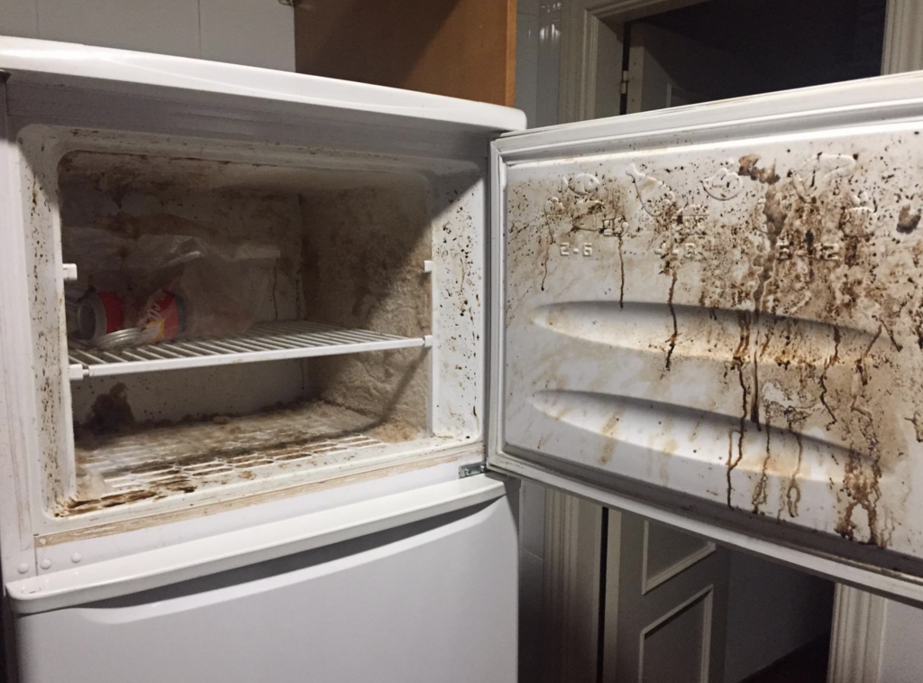 Captura de pantalla 2019 04 01 a las 16.35.36