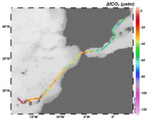 Diferencia entre el contenido de dióxido de carbono disuelto en el océano y el de la atmósfera en el mes de febrero 2019