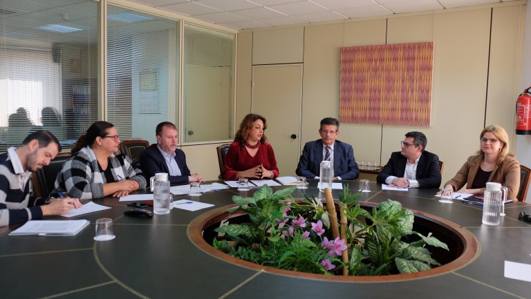 CANARIAS: El Consejo General de Empleo acuerda solicitar al Estado que confirme la transferencia del PIEC 2019