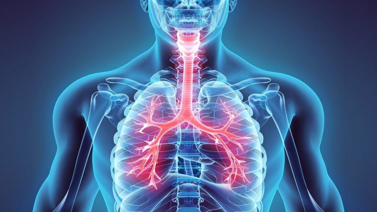 ¿Cuáles son las enfermedades respiratorias agudas y crónicas?