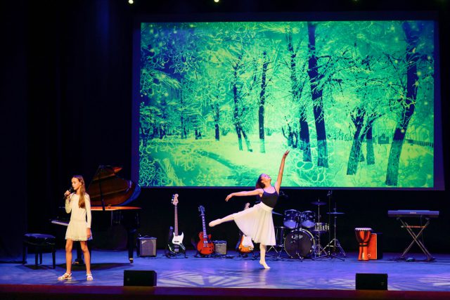 El talento artístico de los alumnos del Liceo francés recauda 835 euros en beneficio de CEAR 1 M OBRA LICEO 2019 162