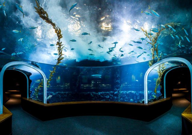 Poema del Mar obtiene el Certificado de Excelencia de TripAdvisor 3