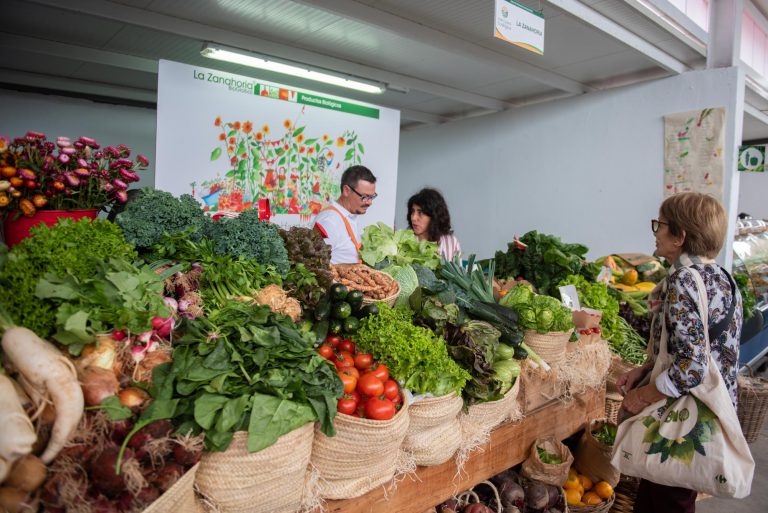 Las ventas del comercio minorista subieron un 3% en noviembre