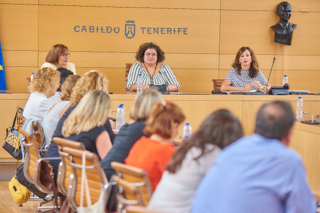 reunion consejo insular mayor tc 06