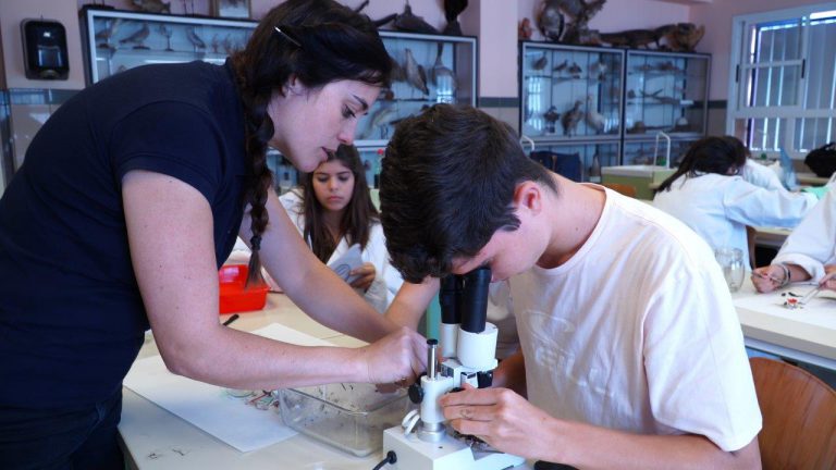 Loro Parque Fundación presenta los resultados de su análisis de la  presencia de plástico en las playas canarias