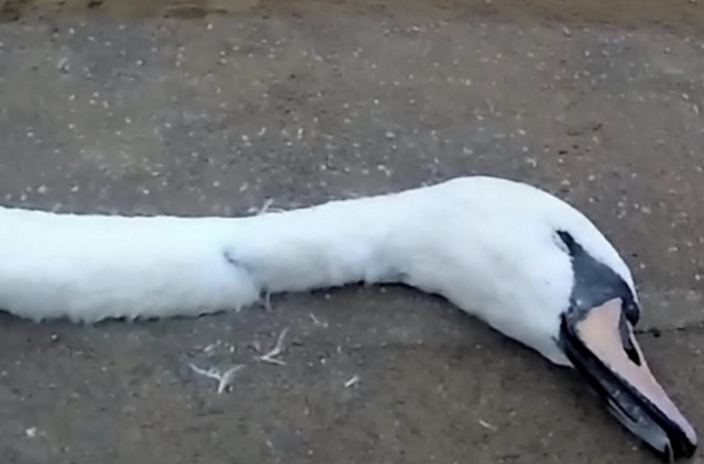 Captura de pantalla 2019 06 05 a las 16.37.20