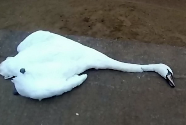 Captura de pantalla 2019 06 05 a las 16.50.46