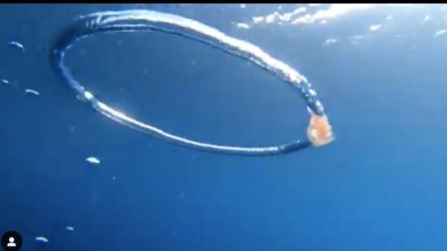 Captura de pantalla 2019 06 14 a las 11.13.10