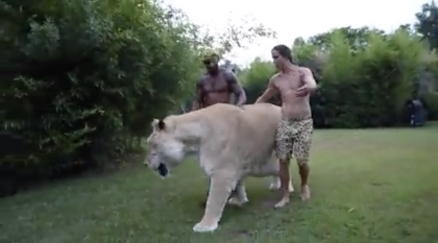 Captura de pantalla 2019 06 14 a las 15.12.28