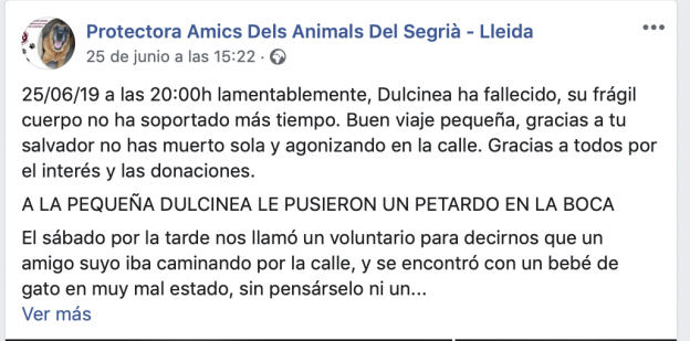 Captura de pantalla 2019 06 27 a las 13.46.18 e1561637220994 1