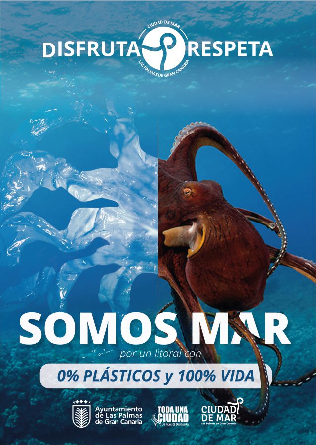 Cartel A3 DISFRUTAyRESPETA v3