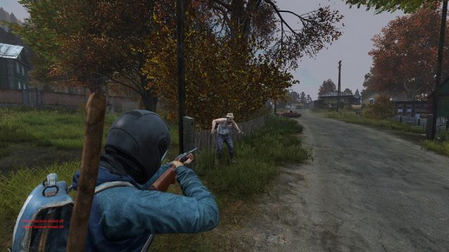 DayZ 1