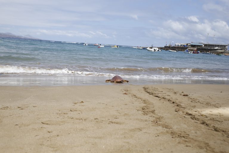 El nivel del mar de la Cuenca Oceánica de Canarias ha subido 21 cm, Mac-Clima permitirá conocer el dato en toda la Macaronesia