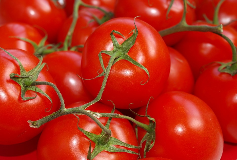 dieta tomate