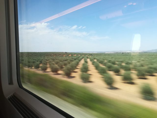 Inauguración del AVE a Granada: la 'previa' (primera parte) 5 ave madrid panoramica