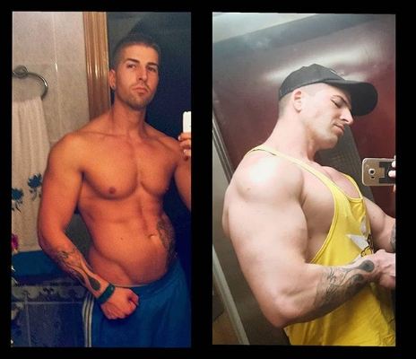 comparativa labrador