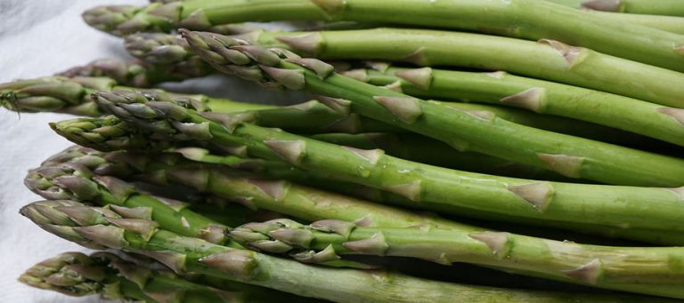 El espárrago de Loja, 