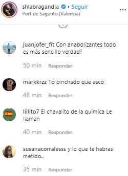 labrador comentarios