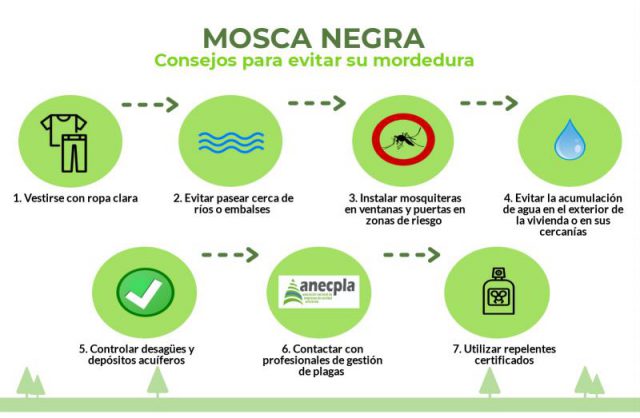 picaduras mosca negra