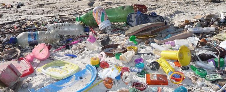 Las personas 'comen' cada semana el plástico equivalente a una tarjeta de crédito