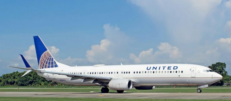 Una plaga de hormigas invade un vuelo de United Airlines