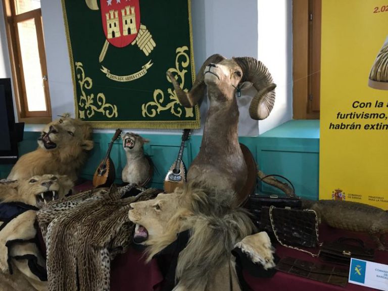 La Guardia Civil 'caza' a más de 200 personas en una gran operación contra el tráfico furtivo de animales