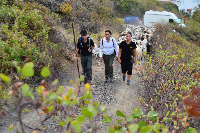 Belén trashumancia 2