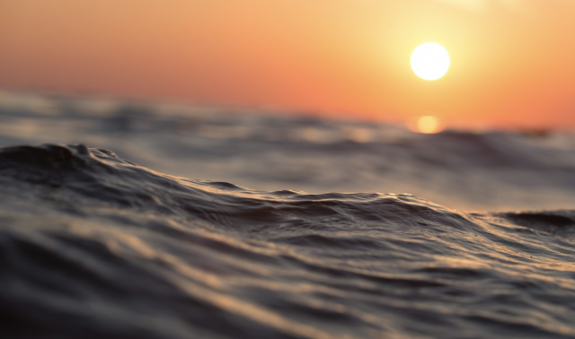 El planeta rompe por primera vez la barrera de las 100.000 especies amenazadas, descubre cuáles son 27 Captura de pantalla 2019 07 18 a las 14.41.16