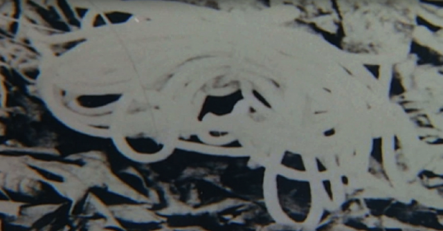 Asesinan a tres niñas en un campamento de verano: el caso de las 'Scout Girls' 9 Captura de pantalla 2019 07 20 a las 17.40.05